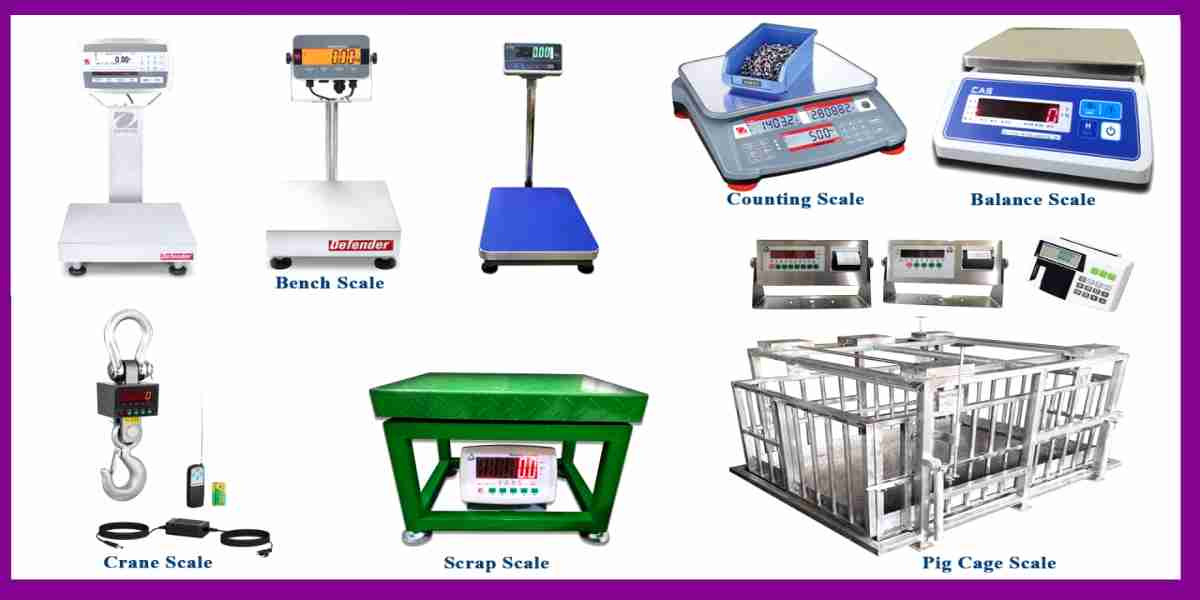 Slide showcasing advanced digital scales for precise measurements
