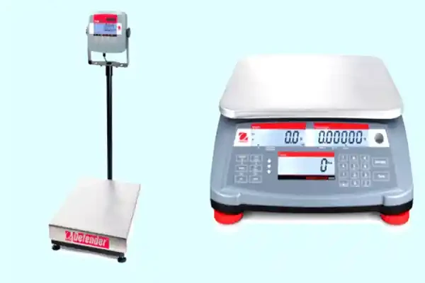 Precision Digital Scale