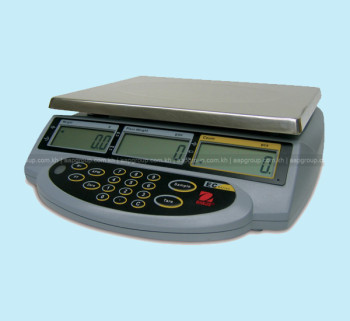 Counting Scale