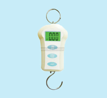 JS Hanging Scale