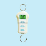 JS Hanging Scale